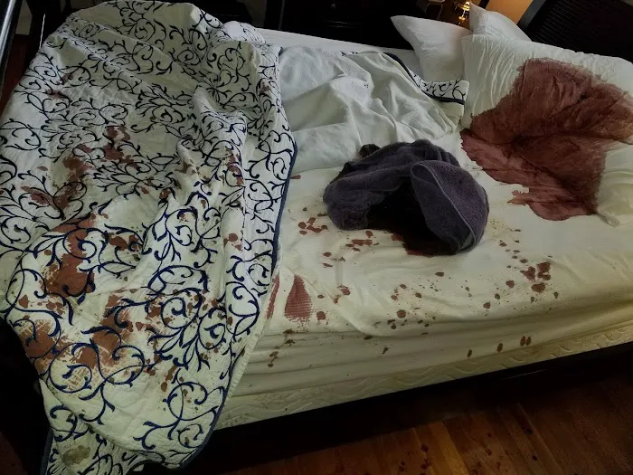 Biohazard PRO Picture 9