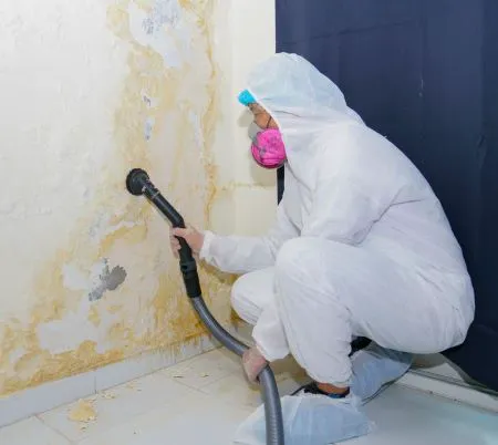 Boston Water Damage Restorations Picture 3