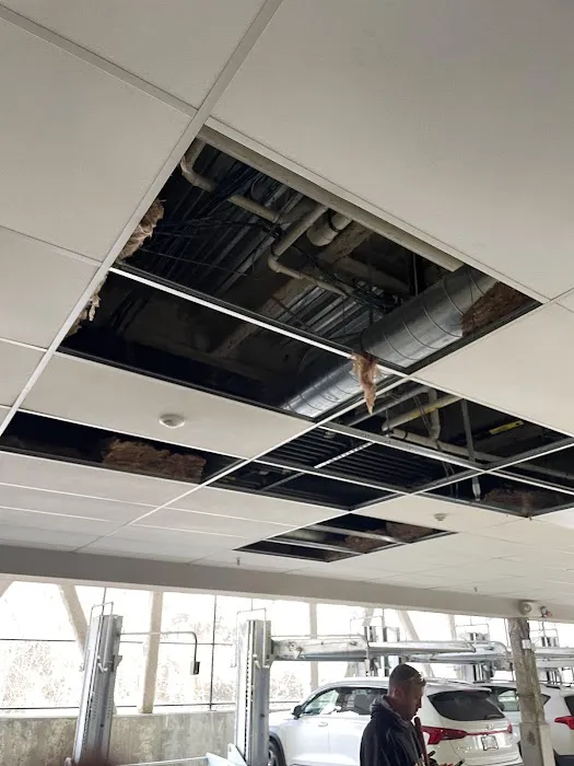 Boston Fire and Flood Restoration Picture 9