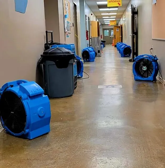 PuroClean of Somerville Picture 5