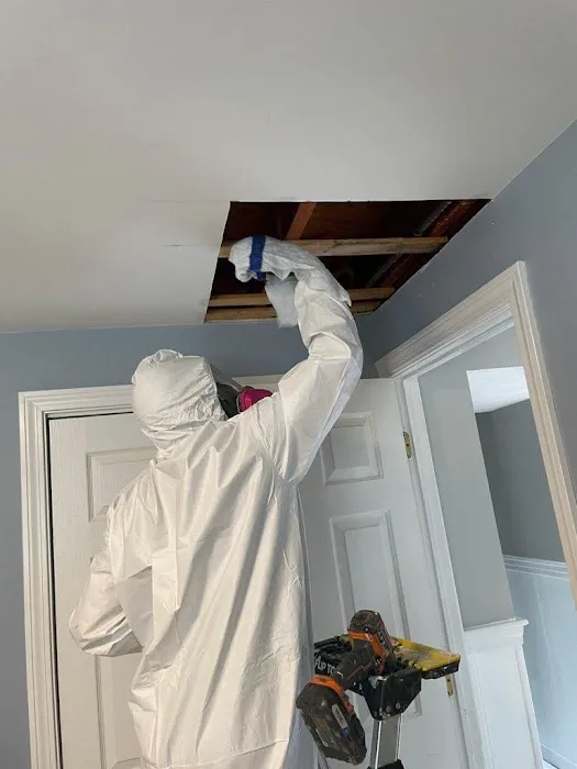 A1 Water & Mold Removal MA Picture 1