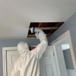 A1 Water & Mold Removal MA