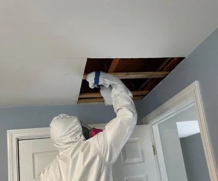 A1 Water & Mold Removal MA