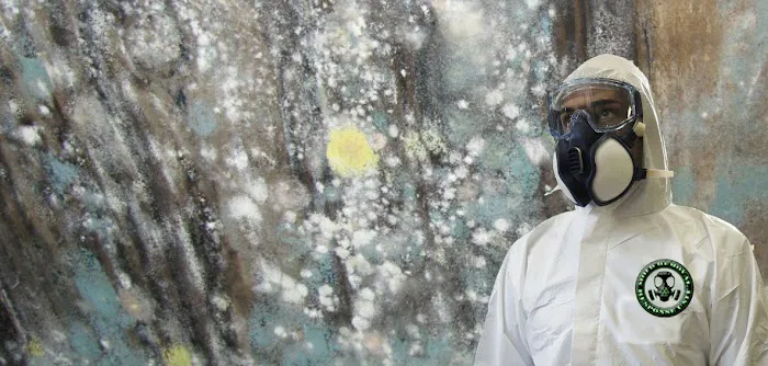 A1 Water & Mold Removal MA Picture 3