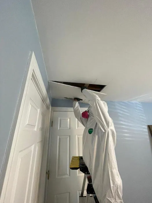 A1 Water & Mold Removal MA Picture 6