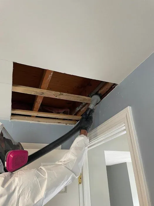 A1 Water & Mold Removal MA Picture 5