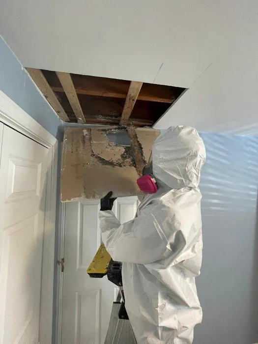 A1 Water & Mold Removal MA Picture 7