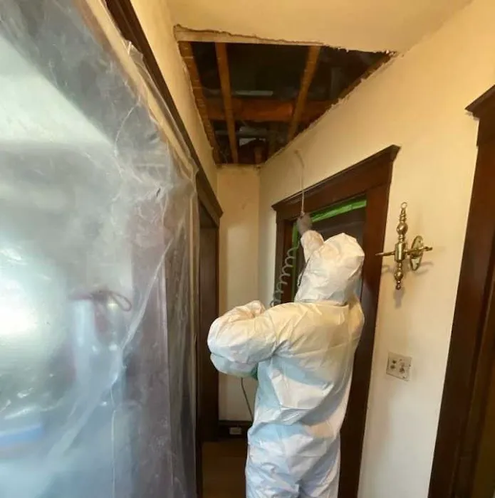 SERVPRO of Allston, Brighton & Brookline Picture 3