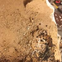 SERVPRO of Boston Downtown / Back Bay / South Boston / Dorchester ico