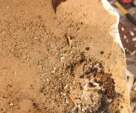 SERVPRO of Boston Downtown / Back Bay / South Boston / Dorchester