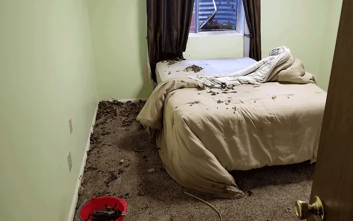 Alpha Water Damage Picture 3