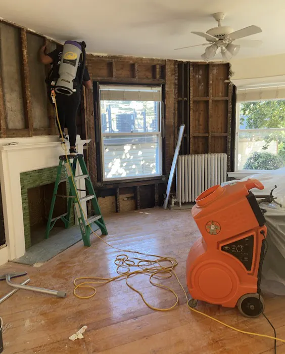 Clean Joe Picture 10