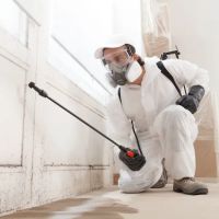 Delaney Water Damage Restoration ico