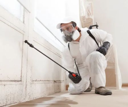 Delaney Water Damage Restoration