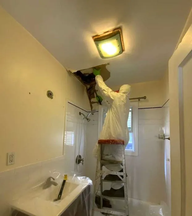 SERVPRO of Cambridge/Belmont Picture 6