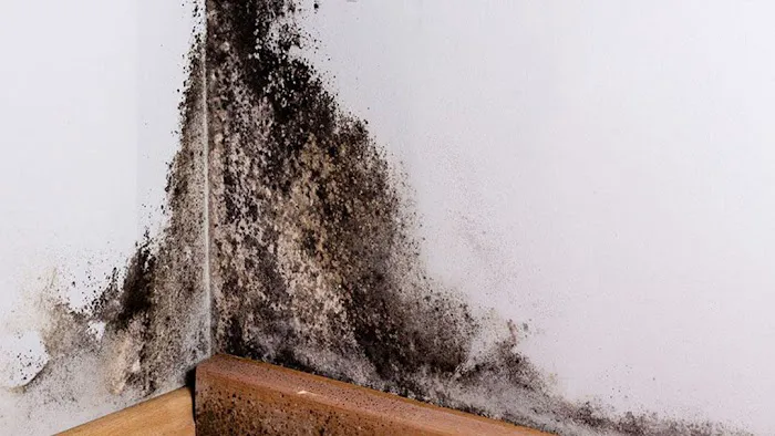 Atlantic Bay Contracting Picture 2