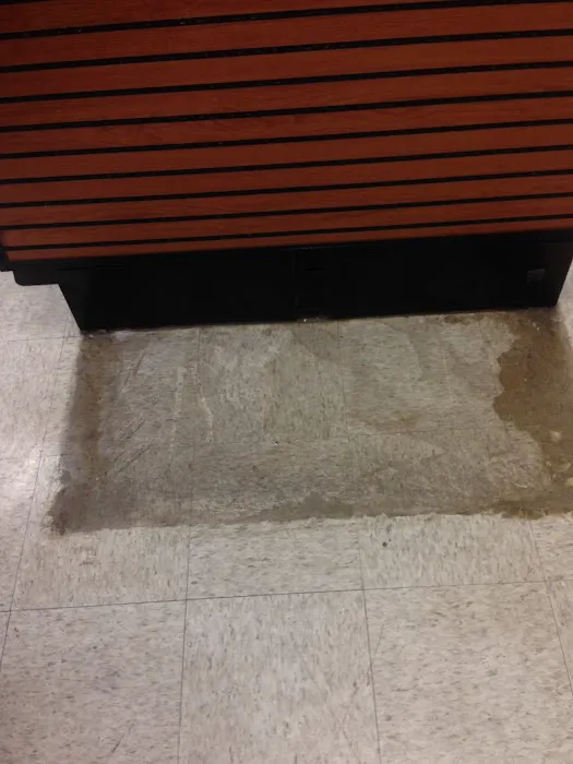 Ocean Wave Cleaning and Restoration Picture 1