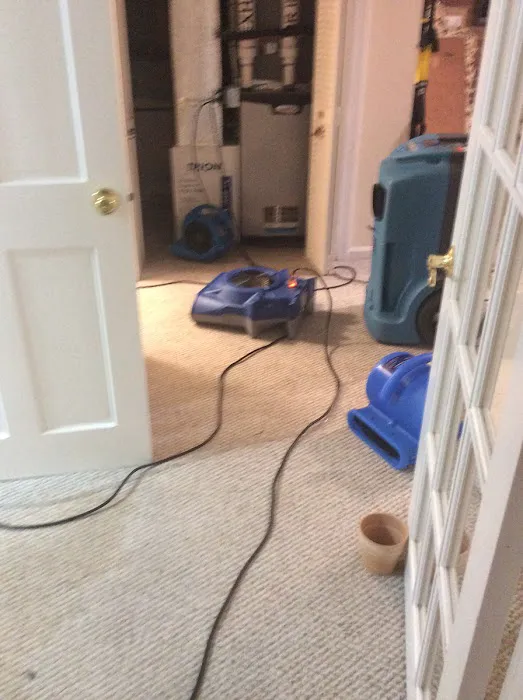 Ocean Wave Cleaning and Restoration Picture 6