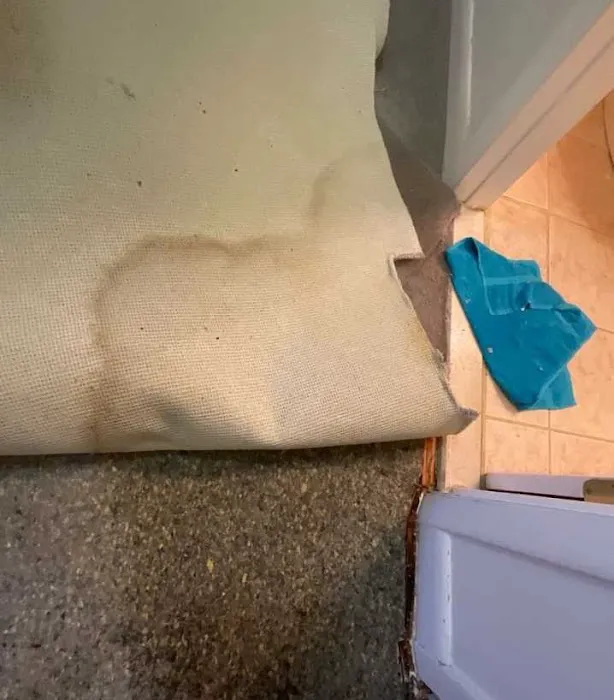 SERVPRO of Hyde Park/Roslindale Picture 5