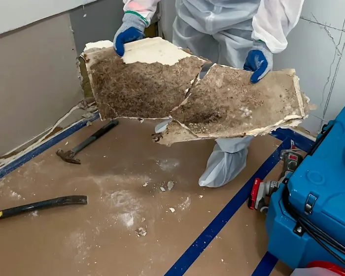 Quantum Restoration Picture 3