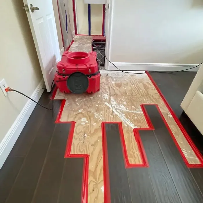 Quantum Restoration Picture 5