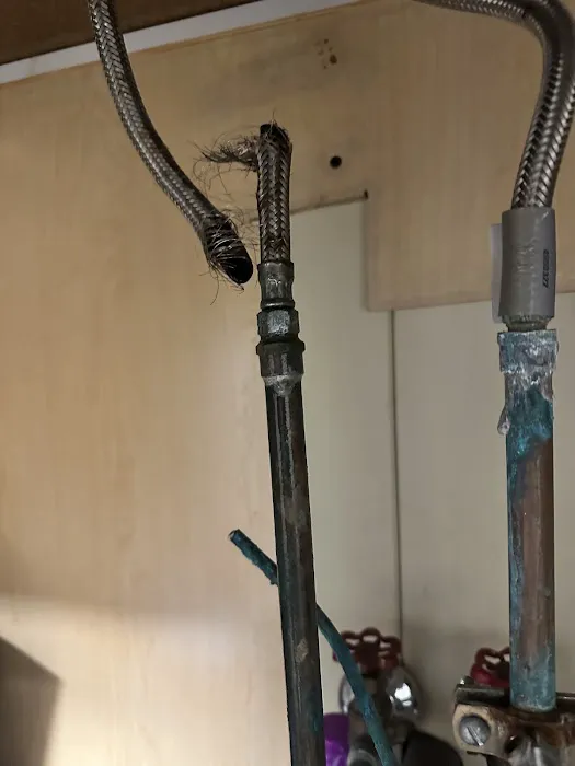 Quantum Restoration Picture 7