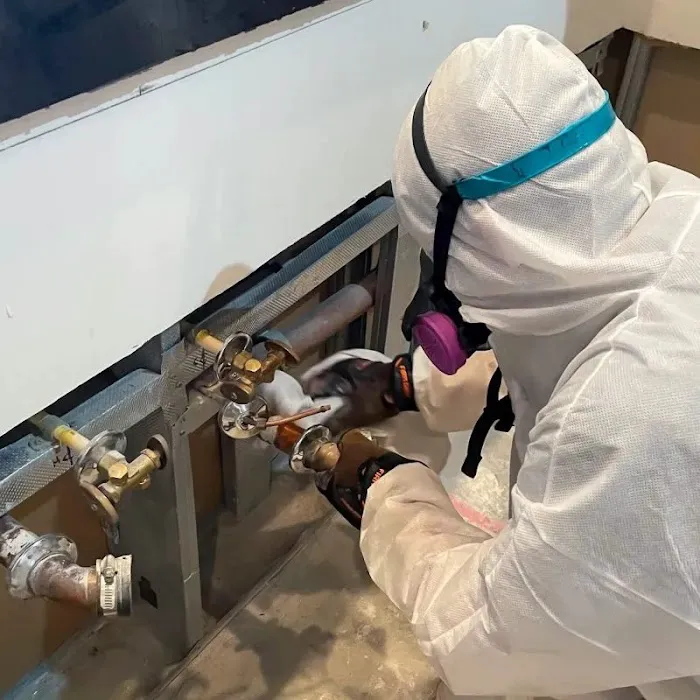 Quantum Restoration Picture 10