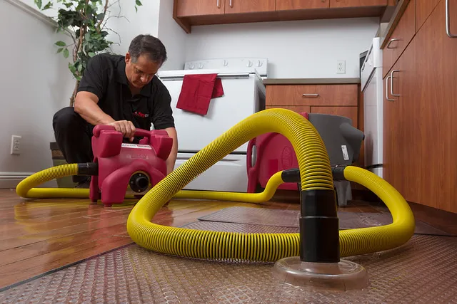 PuroClean of Wakefield Picture 2