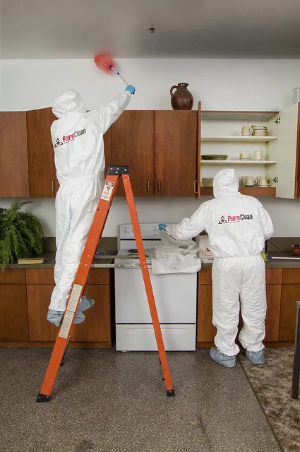 PuroClean of Wakefield Picture 7