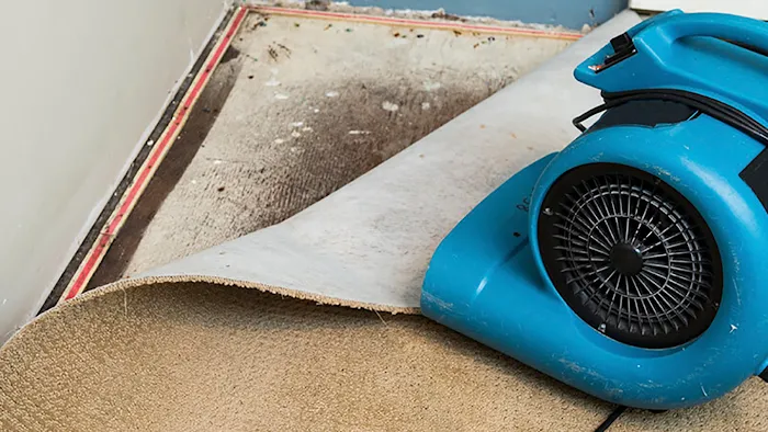 DryBoston Restoration Picture 7