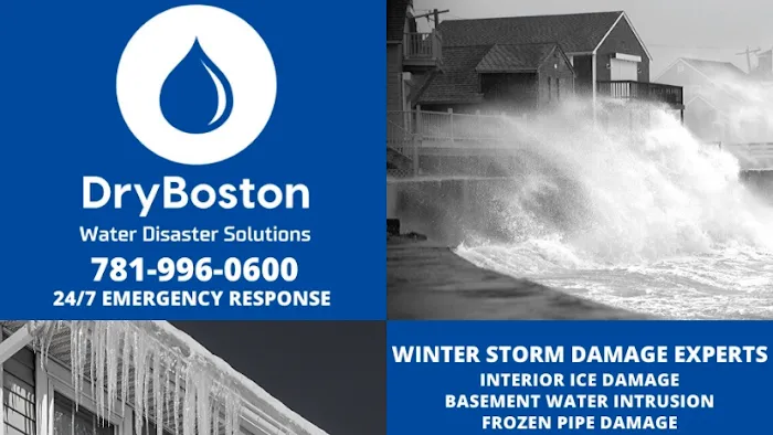 DryBoston Restoration Picture 8