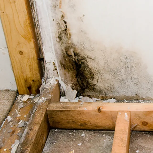 DryBoston Restoration Picture 9