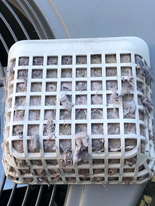 AdvantaClean Picture 4