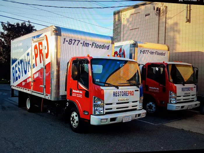 RestorePro Picture 5