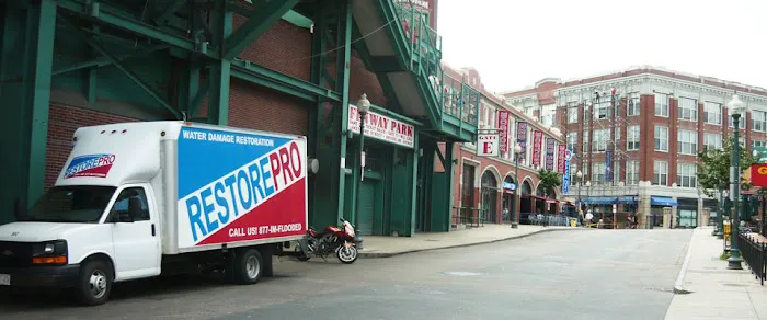 RestorePro Picture 3