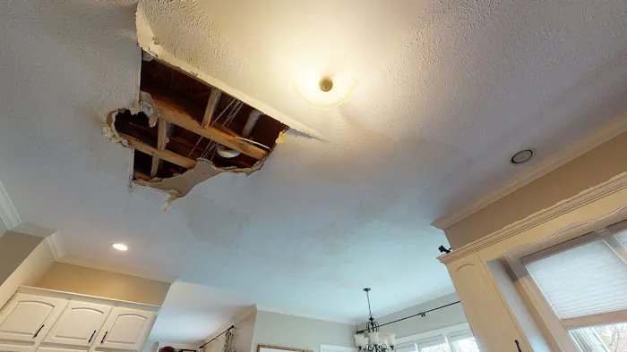 BluSky Restoration Contractors Picture 4