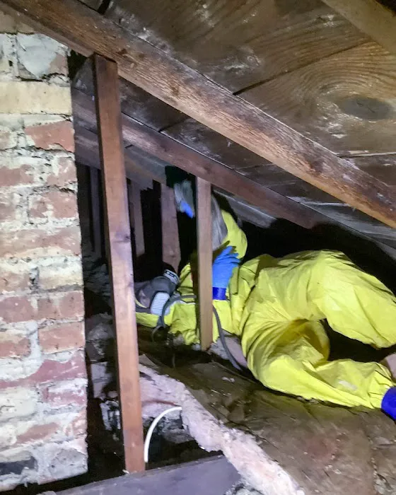 SERVPRO of Weymouth & Hingham Picture 9