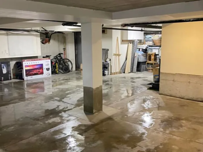 South Shore Flood, Fire & Mold Picture 1