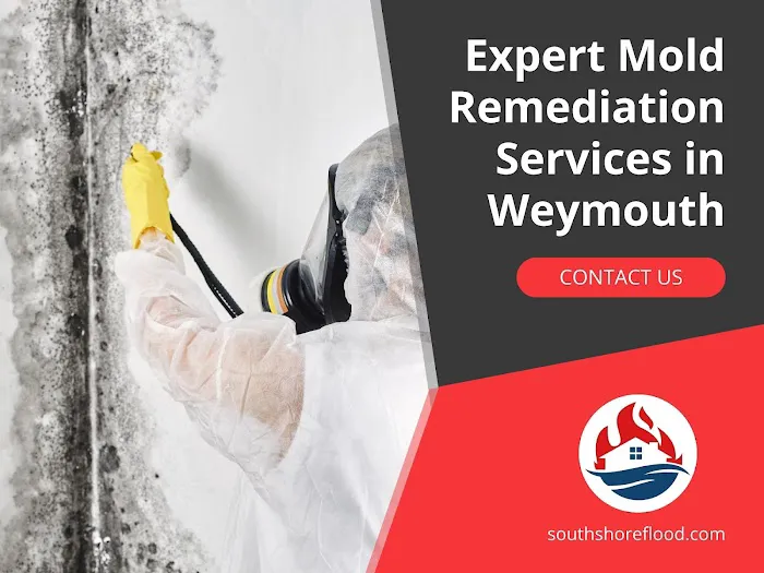 South Shore Flood, Fire & Mold Picture 8