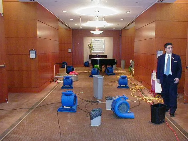 Puritan Restoration Picture 8