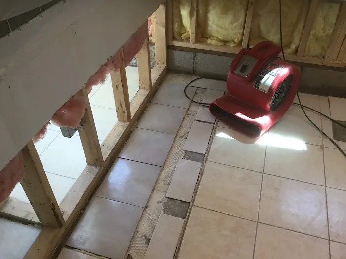 Puritan Restoration Picture 7