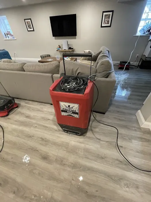 All Dry Services Hingham: Water, Fire, Mold Picture 6