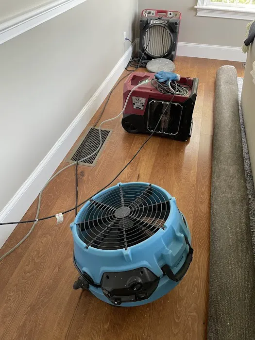 All Dry Services Hingham: Water, Fire, Mold Picture 9