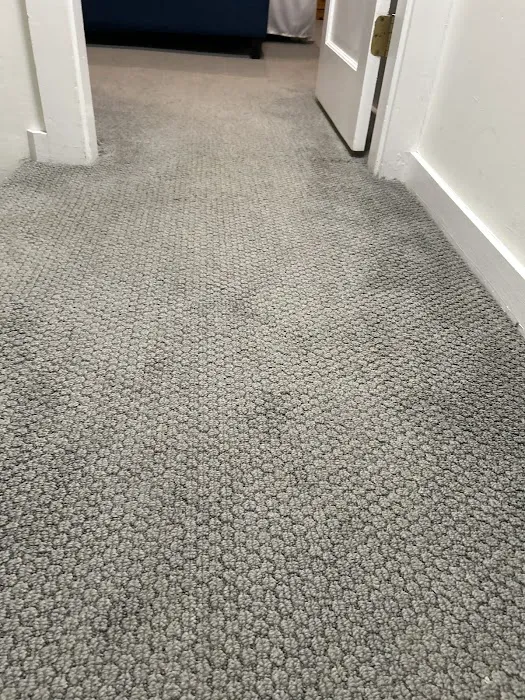 Stephco Cleaning and Restoration Picture 6