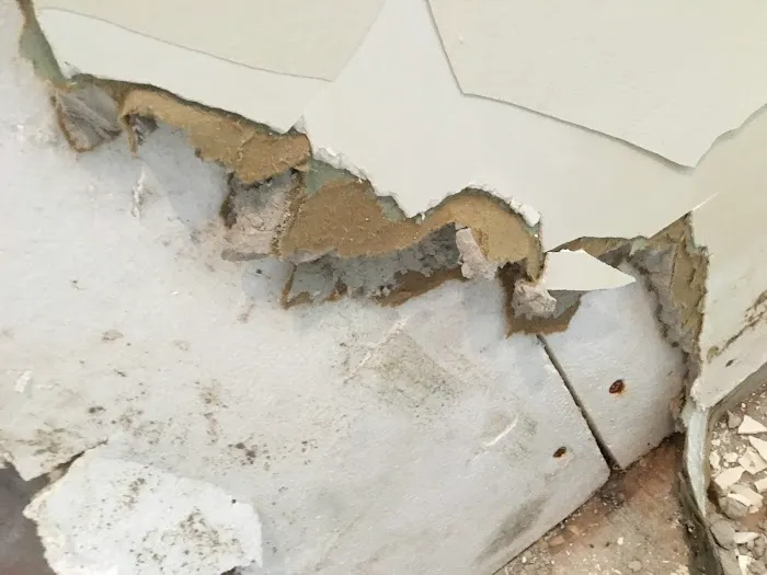 PuroClean Emergency Restoration Services Picture 3