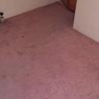 PuroClean Emergency Restoration Services ico