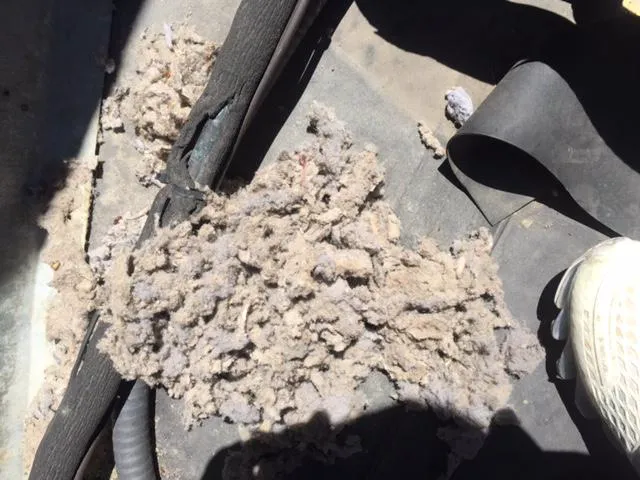 PuroClean Emergency Restoration Services Picture 9