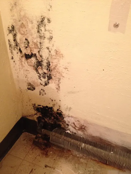 PuroClean Emergency Restoration Services Picture 8