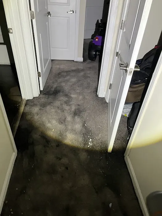 SERVPRO of Burlington/Woburn Picture 7