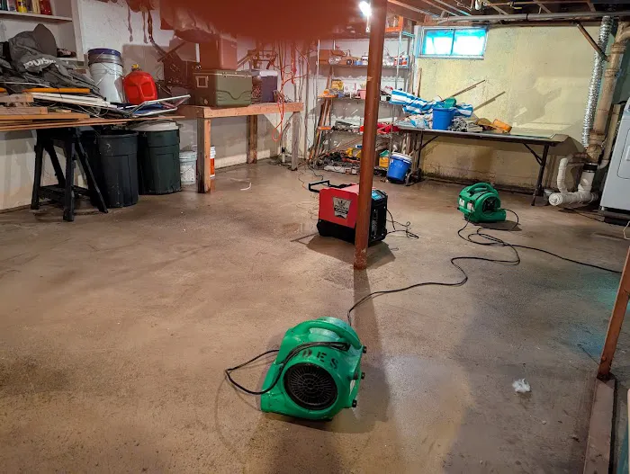 Paul Davis of Chelmsford Picture 1